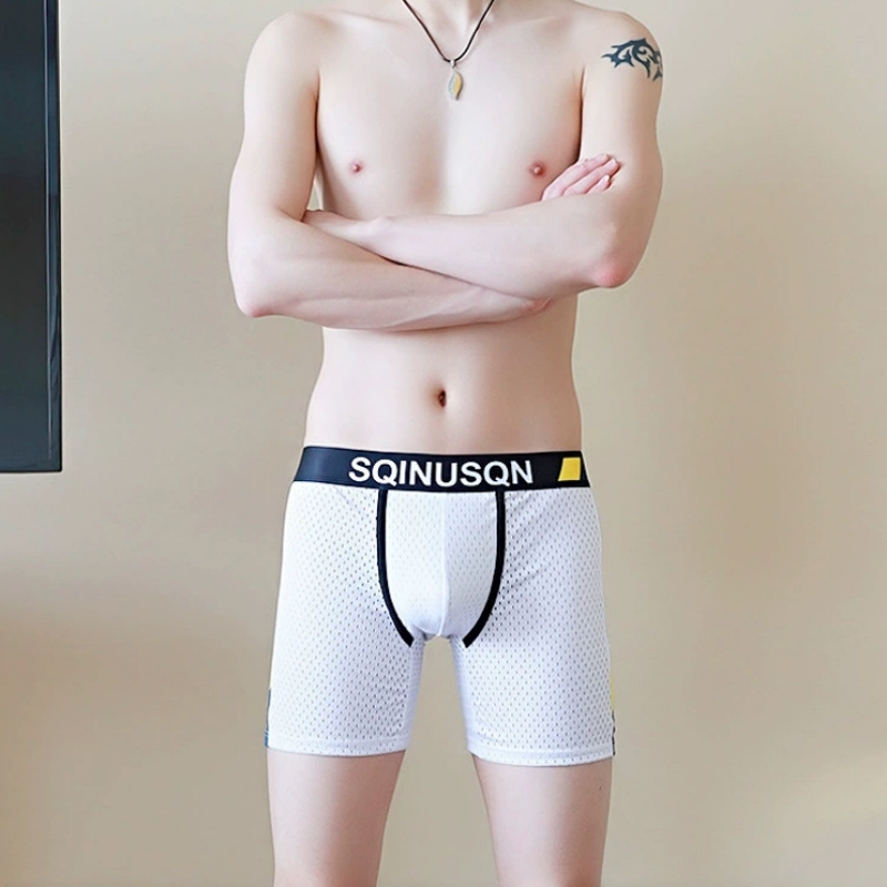 سراويل داخلية رجالية من قماش ا - مراجعة Mesh Sport Boxer وسعره